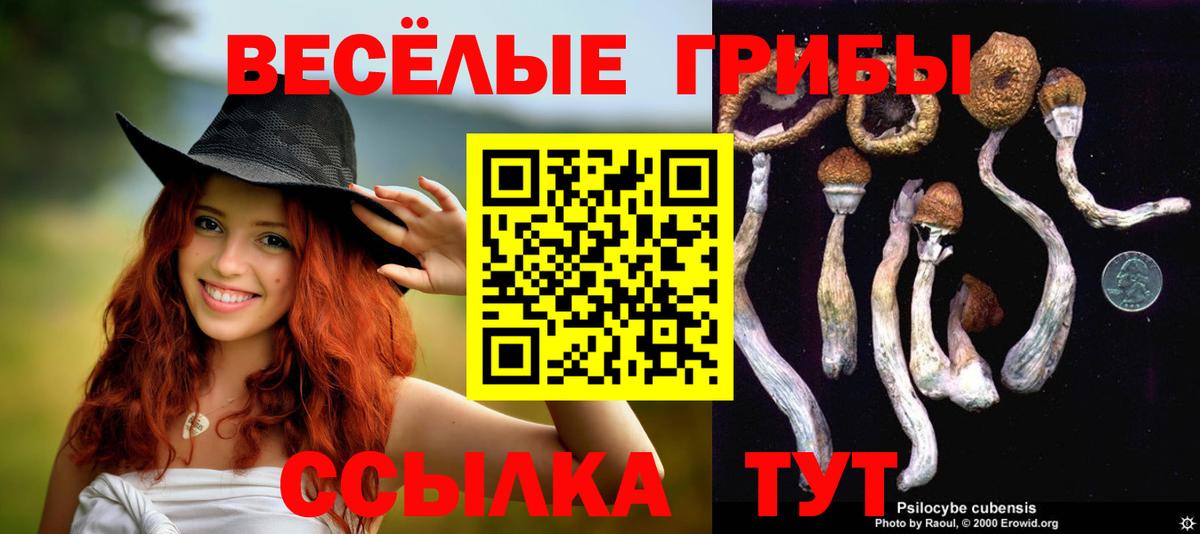 Галлюциногенные грибы GOLDEN TEACHER  Вход с VPN  где купить наркоту  Галлюциногенные грибы MAGIC MUSHROOMS  Чехов 