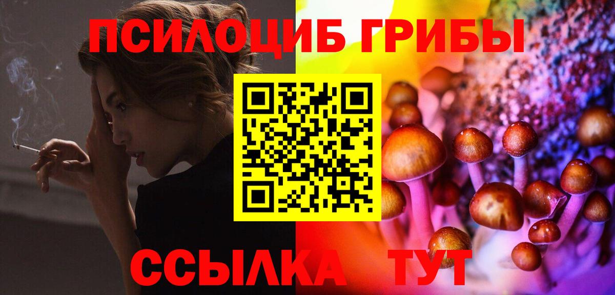 Галлюциногенные грибы Cubensis Чехов